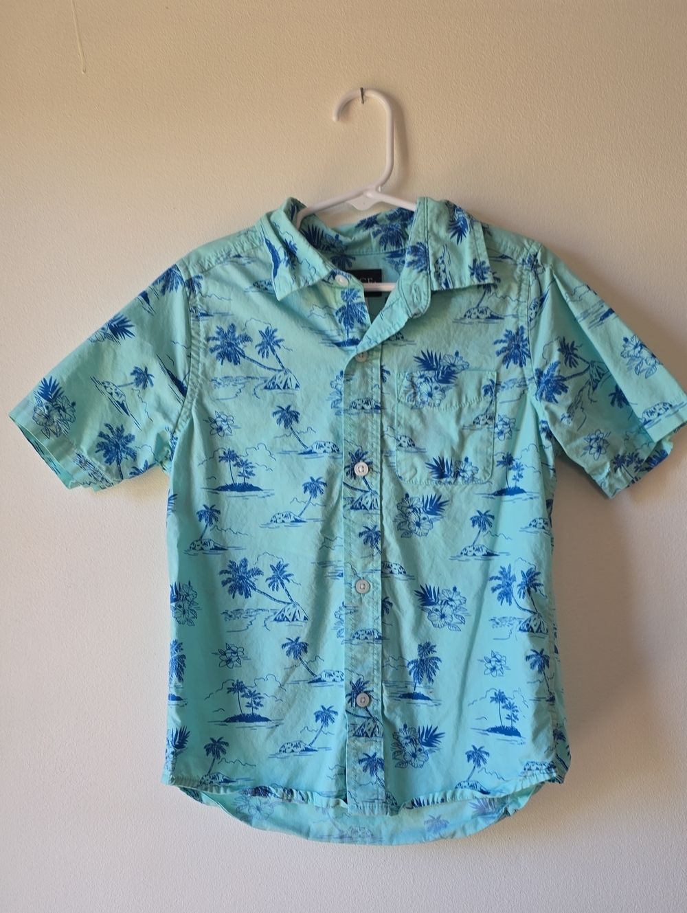 The Children's Place Aqua Blue Tropical Button-Down Shirt